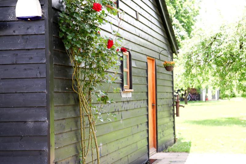 Wilderness B&B 3 Self Contained Rooms Nr Sissinghurst Headcorn Exterior photo