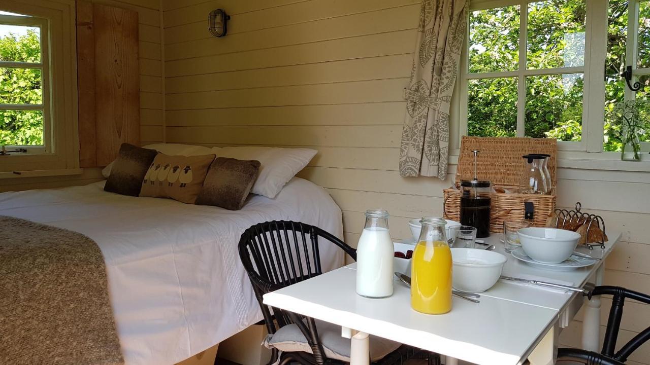 Wilderness B&B 3 Self Contained Rooms Nr Sissinghurst Headcorn Exterior photo